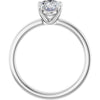 14K White | Oval