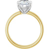 14K Yellow/White | Cushion