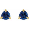 Natural Blue Sapphire | Trillion | 3.5 x 3.5 x 3.5mm