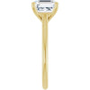 14K Yellow | Asscher