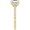14K Yellow | Asscher