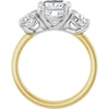 14K Yellow/White | Cushion