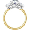 14K Yellow/White | Round