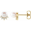 Cultured White Freshwater Pearl | Pearl | 4.5-5.0mm
