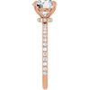 14K Rose | Round