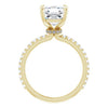 14K Yellow | Asscher